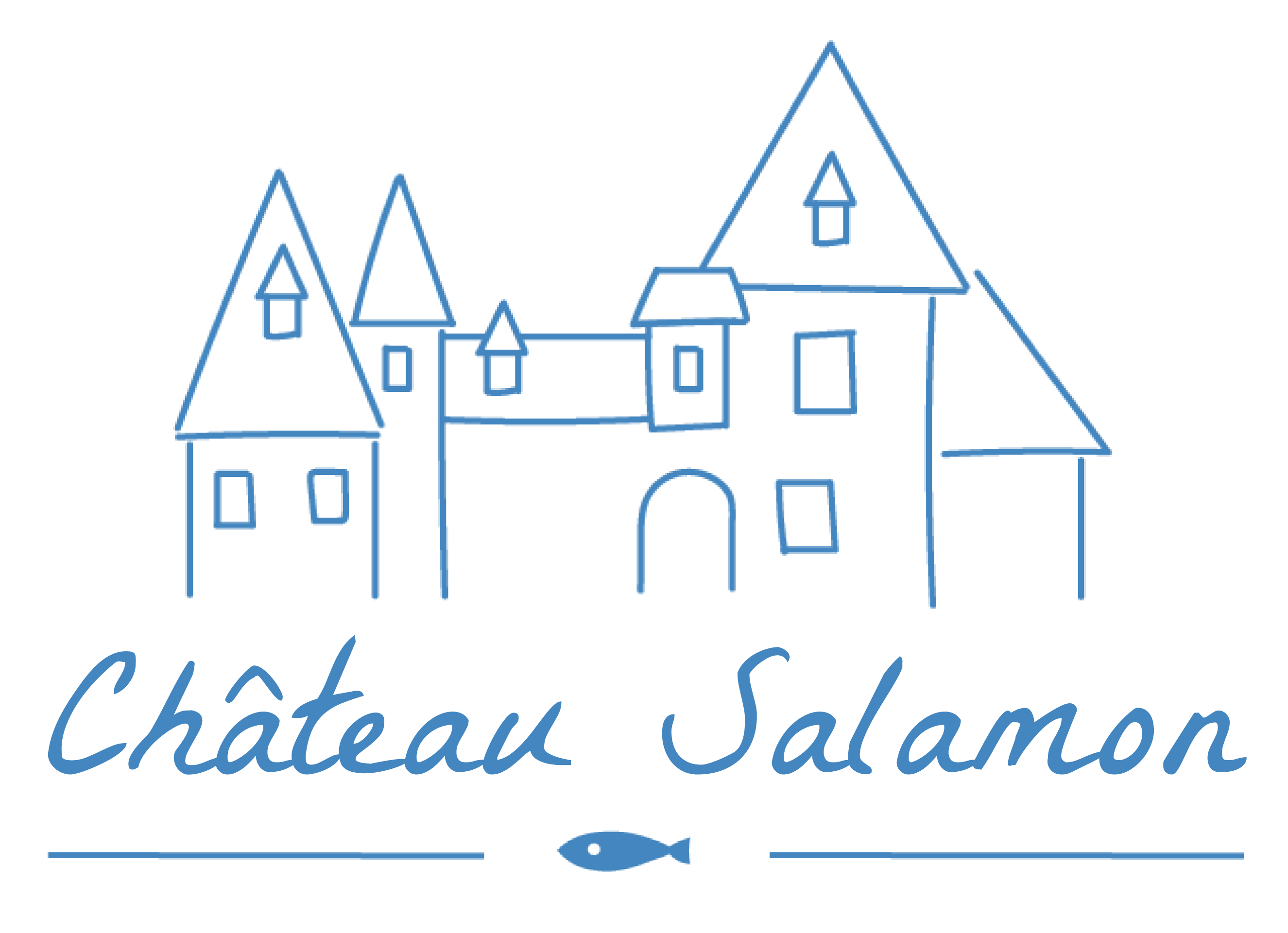 Château Salamon